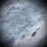 ヒメ日記 2025/02/07 12:32 投稿 浅見怜 五十路マダム 新潟店(カサブランカグループ)