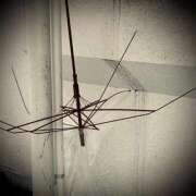 ヒメ日記 2025/02/07 16:02 投稿 浅見怜 五十路マダム 新潟店(カサブランカグループ)