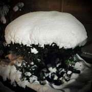 ヒメ日記 2025/02/07 18:04 投稿 浅見怜 五十路マダム 新潟店(カサブランカグループ)