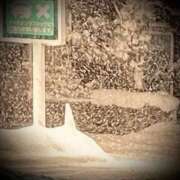 ヒメ日記 2025/02/07 19:04 投稿 浅見怜 五十路マダム 新潟店(カサブランカグループ)