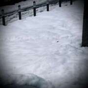 ヒメ日記 2025/02/09 17:02 投稿 浅見怜 五十路マダム 新潟店(カサブランカグループ)