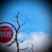 ヒメ日記 2025/02/09 18:04 投稿 浅見怜 五十路マダム 新潟店(カサブランカグループ)