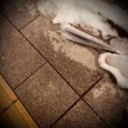 ヒメ日記 2025/02/09 23:46 投稿 浅見怜 五十路マダム 新潟店(カサブランカグループ)