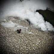 ヒメ日記 2025/02/10 23:48 投稿 浅見怜 五十路マダム 新潟店(カサブランカグループ)