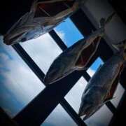 ヒメ日記 2025/02/10 23:52 投稿 浅見怜 五十路マダム 新潟店(カサブランカグループ)