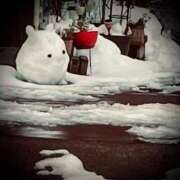 ヒメ日記 2025/02/11 01:00 投稿 浅見怜 五十路マダム 新潟店(カサブランカグループ)