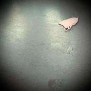 ヒメ日記 2025/02/11 12:06 投稿 浅見怜 五十路マダム 新潟店(カサブランカグループ)