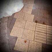 ヒメ日記 2025/02/12 07:02 投稿 浅見怜 五十路マダム 新潟店(カサブランカグループ)