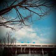 ヒメ日記 2025/02/15 09:32 投稿 浅見怜 五十路マダム 新潟店(カサブランカグループ)