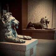 ヒメ日記 2025/02/15 18:32 投稿 浅見怜 五十路マダム 新潟店(カサブランカグループ)