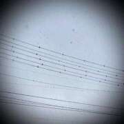 ヒメ日記 2025/02/19 09:32 投稿 浅見怜 五十路マダム 新潟店(カサブランカグループ)