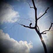 ヒメ日記 2025/02/19 22:02 投稿 浅見怜 五十路マダム 新潟店(カサブランカグループ)