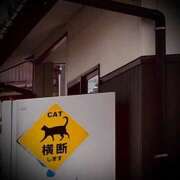 ヒメ日記 2025/02/21 17:06 投稿 浅見怜 五十路マダム 新潟店(カサブランカグループ)