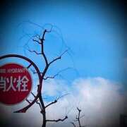 ヒメ日記 2025/02/21 22:02 投稿 浅見怜 五十路マダム 新潟店(カサブランカグループ)