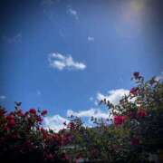 ヒメ日記 2025/02/23 05:00 投稿 浅見怜 五十路マダム 新潟店(カサブランカグループ)