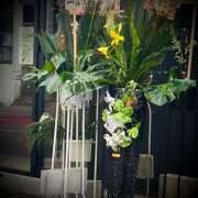 ヒメ日記 2025/02/26 06:20 投稿 浅見怜 五十路マダム 新潟店(カサブランカグループ)