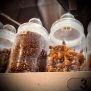 ヒメ日記 2025/03/01 17:02 投稿 浅見怜 五十路マダム 新潟店(カサブランカグループ)