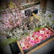 ヒメ日記 2025/03/03 15:06 投稿 浅見怜 五十路マダム 新潟店(カサブランカグループ)