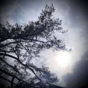 ヒメ日記 2025/03/04 09:08 投稿 浅見怜 五十路マダム 新潟店(カサブランカグループ)