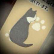 ヒメ日記 2025/03/06 12:08 投稿 浅見怜 五十路マダム 新潟店(カサブランカグループ)