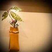 ヒメ日記 2025/03/08 15:04 投稿 浅見怜 五十路マダム 新潟店(カサブランカグループ)