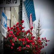 ヒメ日記 2025/03/08 18:04 投稿 浅見怜 五十路マダム 新潟店(カサブランカグループ)