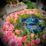 ヒメ日記 2025/03/09 15:02 投稿 浅見怜 五十路マダム 新潟店(カサブランカグループ)