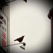 ヒメ日記 2025/03/10 00:30 投稿 浅見怜 五十路マダム 新潟店(カサブランカグループ)