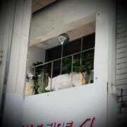 ヒメ日記 2025/03/10 20:02 投稿 浅見怜 五十路マダム 新潟店(カサブランカグループ)