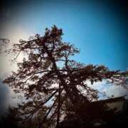 ヒメ日記 2025/03/11 05:00 投稿 浅見怜 五十路マダム 新潟店(カサブランカグループ)