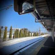 ヒメ日記 2025/03/11 13:46 投稿 浅見怜 五十路マダム 新潟店(カサブランカグループ)