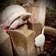 ヒメ日記 2025/03/12 16:32 投稿 浅見怜 五十路マダム 新潟店(カサブランカグループ)