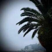 ヒメ日記 2025/03/12 18:04 投稿 浅見怜 五十路マダム 新潟店(カサブランカグループ)