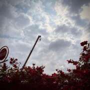 ヒメ日記 2025/03/14 20:04 投稿 浅見怜 五十路マダム 新潟店(カサブランカグループ)