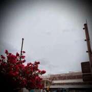 ヒメ日記 2025/03/16 12:32 投稿 浅見怜 五十路マダム 新潟店(カサブランカグループ)