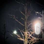 ヒメ日記 2025/03/16 21:38 投稿 浅見怜 五十路マダム 新潟店(カサブランカグループ)