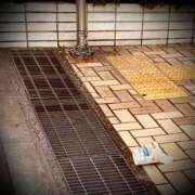 ヒメ日記 2025/03/17 13:02 投稿 浅見怜 五十路マダム 新潟店(カサブランカグループ)