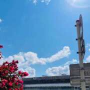 ヒメ日記 2025/03/18 15:02 投稿 浅見怜 五十路マダム 新潟店(カサブランカグループ)