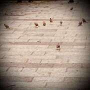 ヒメ日記 2025/03/18 20:02 投稿 浅見怜 五十路マダム 新潟店(カサブランカグループ)