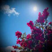 ヒメ日記 2025/03/19 06:20 投稿 浅見怜 五十路マダム 新潟店(カサブランカグループ)