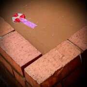 ヒメ日記 2025/03/19 21:04 投稿 浅見怜 五十路マダム 新潟店(カサブランカグループ)