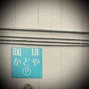 ヒメ日記 2025/03/21 10:02 投稿 浅見怜 五十路マダム 新潟店(カサブランカグループ)