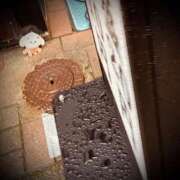 ヒメ日記 2025/03/21 11:06 投稿 浅見怜 五十路マダム 新潟店(カサブランカグループ)