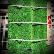 ヒメ日記 2025/03/23 14:46 投稿 浅見怜 五十路マダム 新潟店(カサブランカグループ)