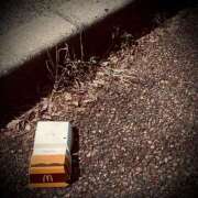 ヒメ日記 2025/03/23 15:46 投稿 浅見怜 五十路マダム 新潟店(カサブランカグループ)