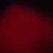 ヒメ日記 2025/03/25 06:20 投稿 浅見怜 五十路マダム 新潟店(カサブランカグループ)