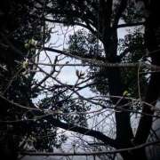 ヒメ日記 2025/03/27 15:04 投稿 浅見怜 五十路マダム 新潟店(カサブランカグループ)