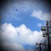 ヒメ日記 2025/03/29 17:02 投稿 浅見怜 五十路マダム 新潟店(カサブランカグループ)