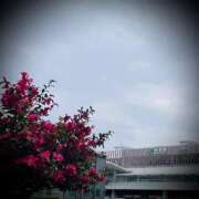 ヒメ日記 2025/03/30 12:06 投稿 浅見怜 五十路マダム 新潟店(カサブランカグループ)