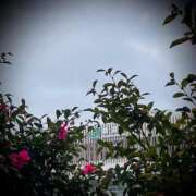 ヒメ日記 2025/04/04 09:32 投稿 浅見怜 五十路マダム 新潟店(カサブランカグループ)